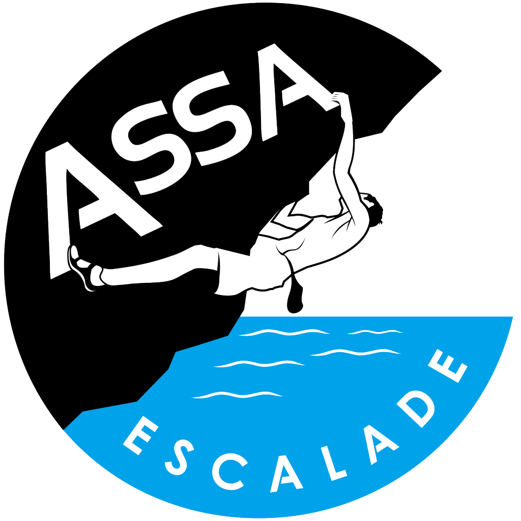 Logo ASSA 2016